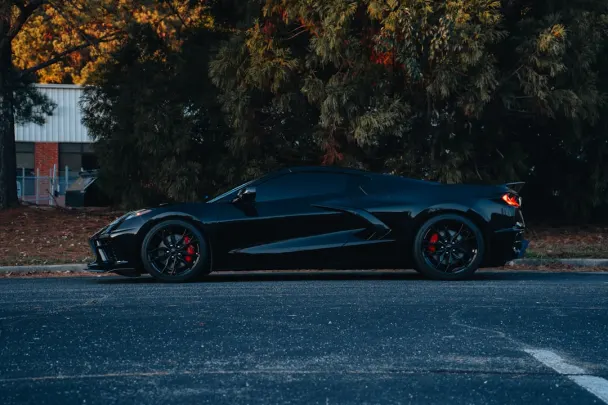 Kasino Sticky Wilds Apl Android/iOS